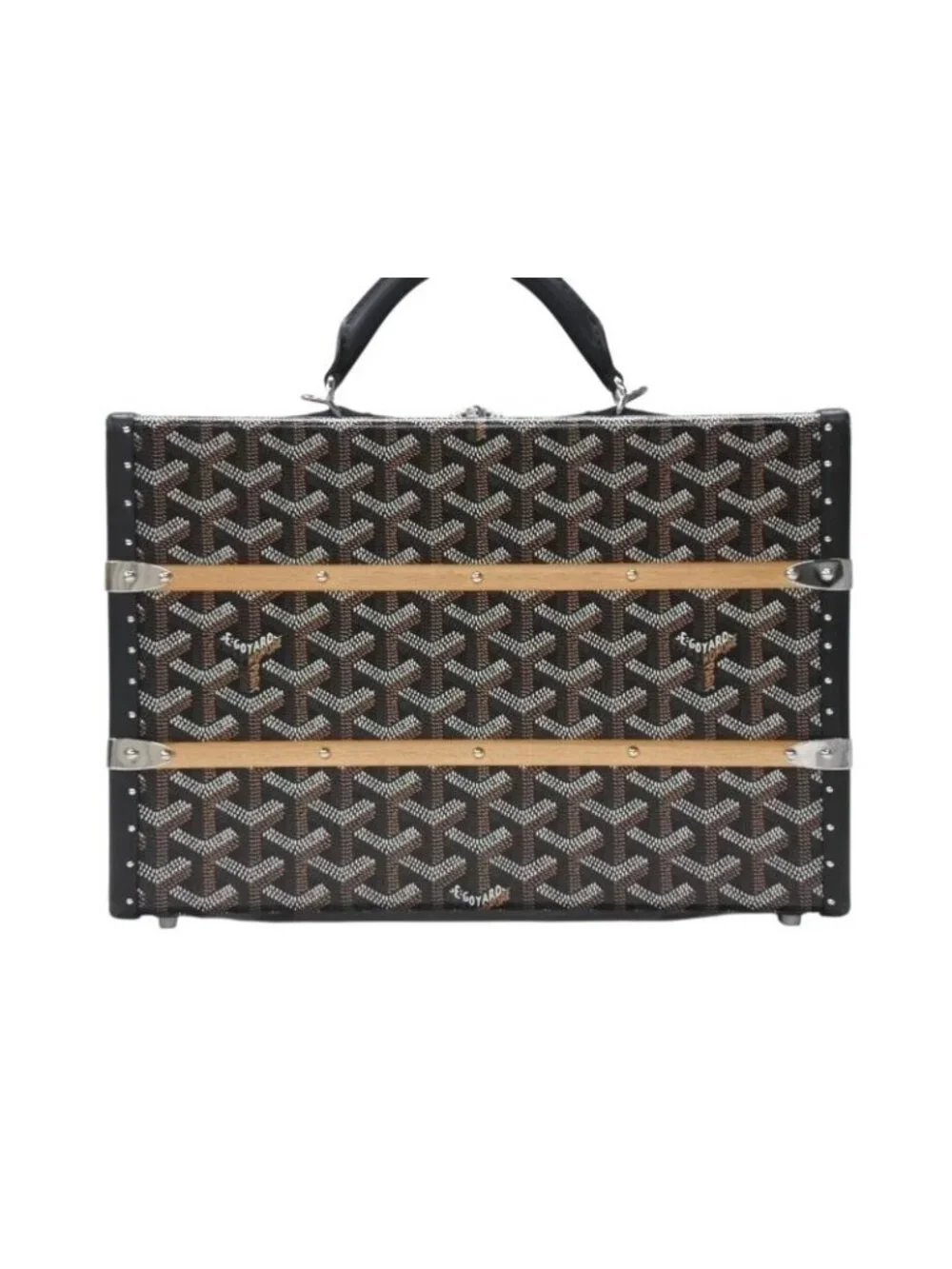Goyard Pallas MM Trunk Bag Black Leather